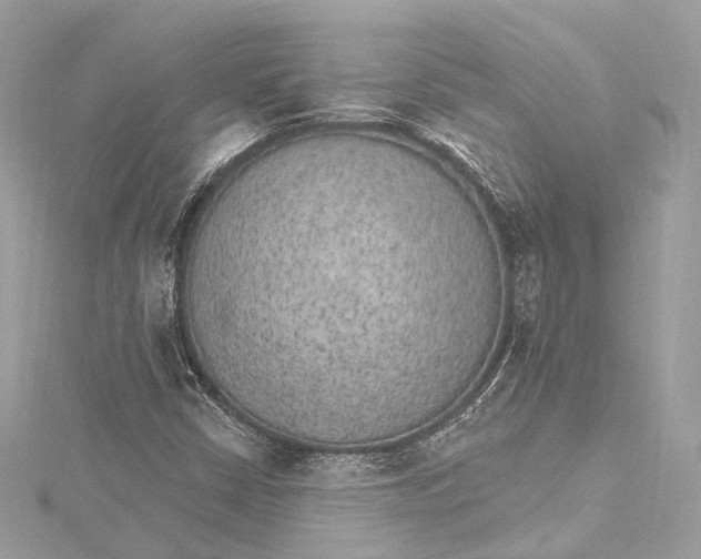 X0000115651402200912011512