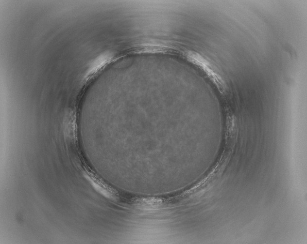 X0000115651403200912011513