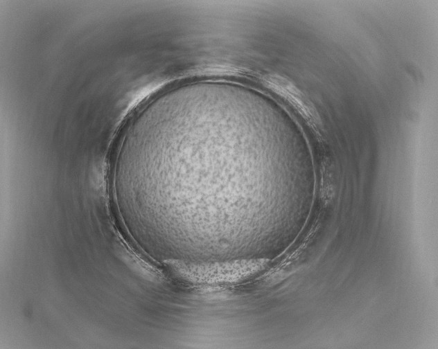 X0000115651404200912011513