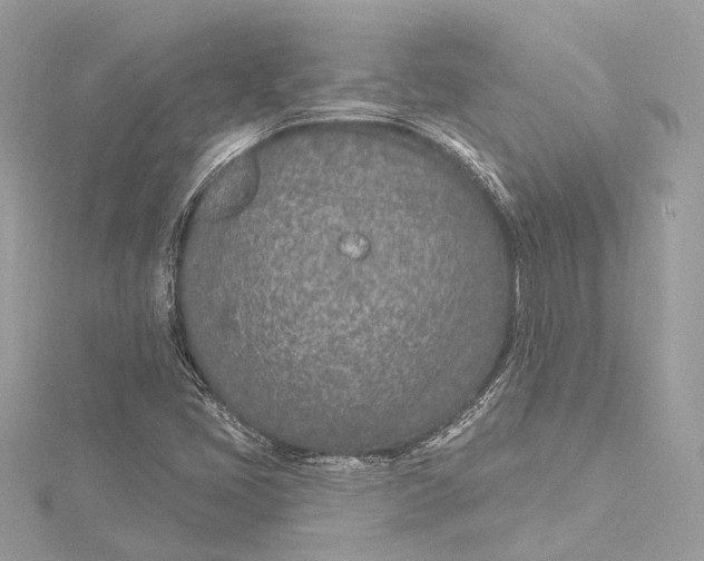 X0000115651405200912011513