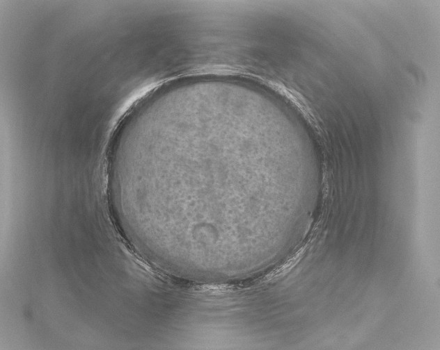 X0000115651406200912011513