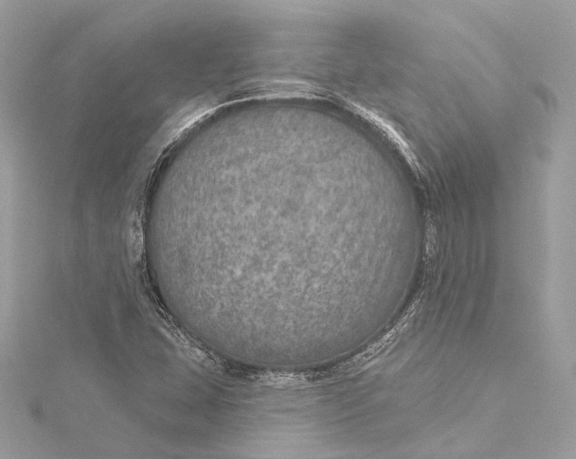 X0000115651407200912011513