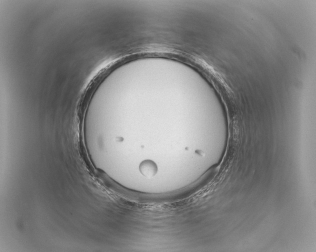 X0000115651408200912011513