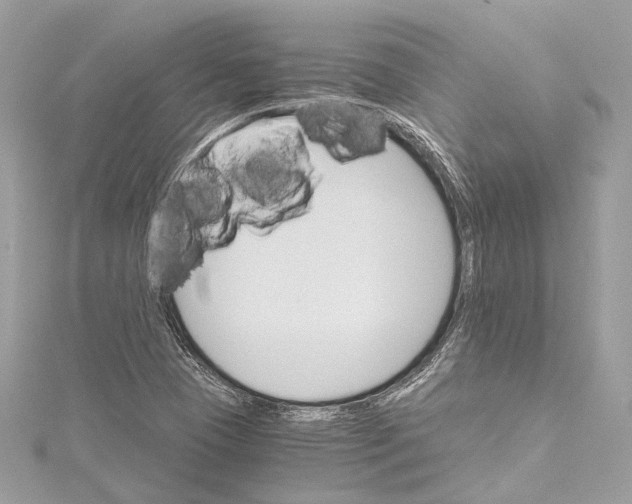 X0000115651409200912011513