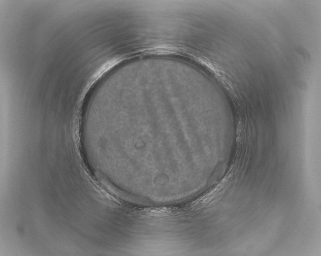 X0000115651410200912011513