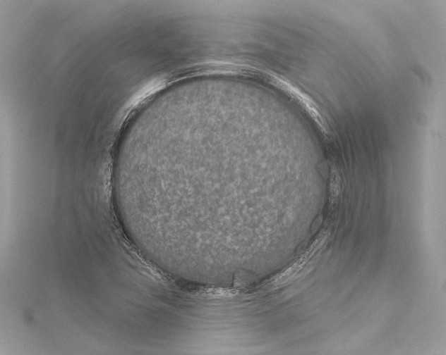 X0000115651411200912011513