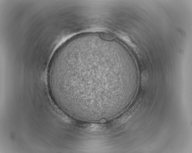 X0000115651412200912011513