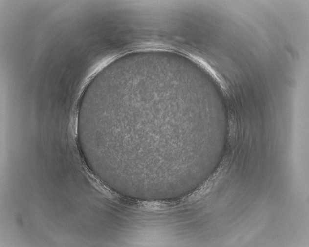 X0000115651413200912011513