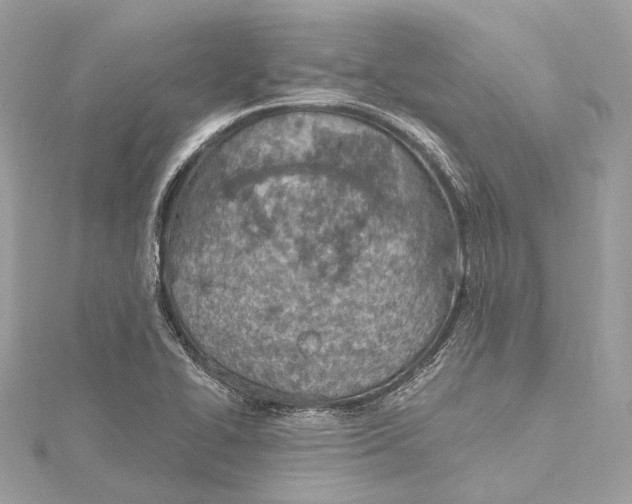 X0000115651414200912011513