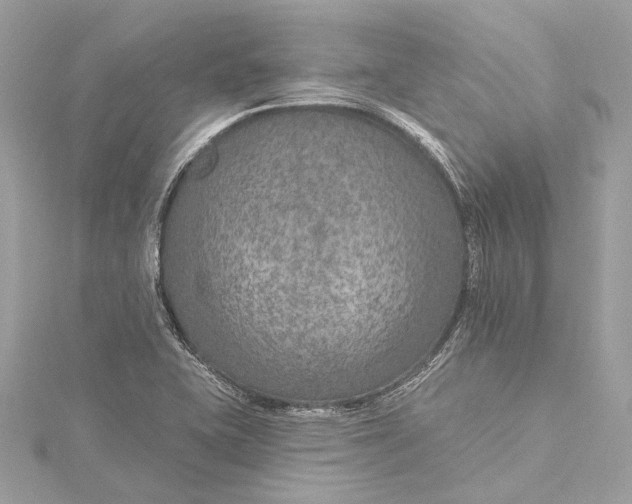 X0000115651415200912011513