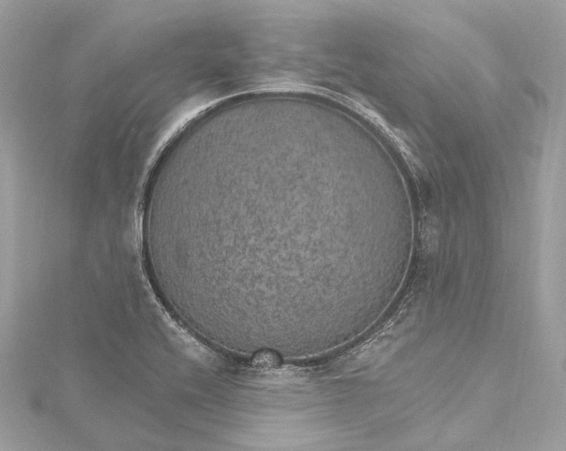 X0000115651416200912011513