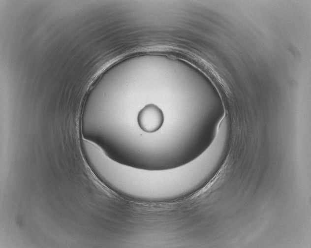 X0000115651417200912011513