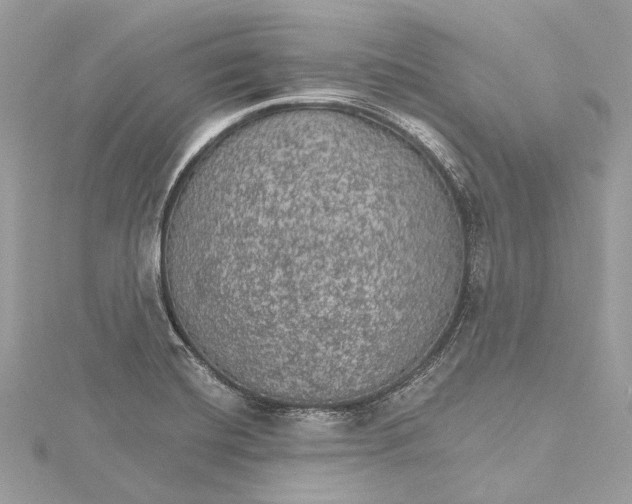 X0000115651420200912011513