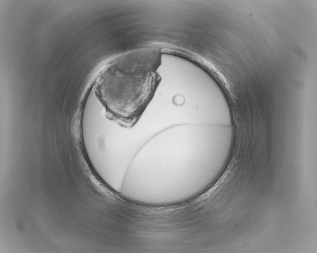 X0000115651421200912011513