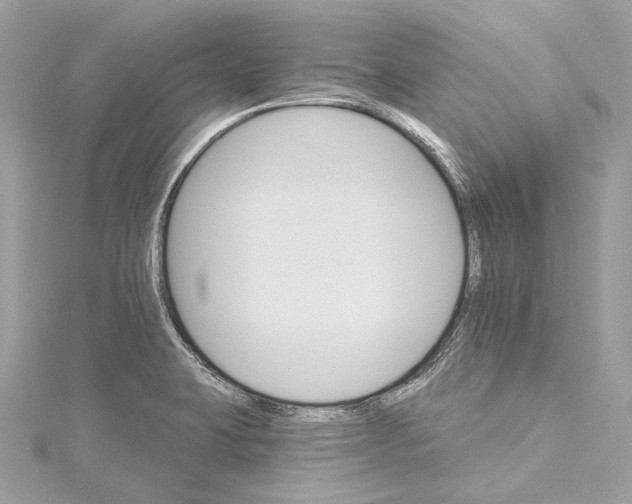 X0000115651423200912011513