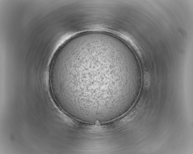 X0000115651424200912011513