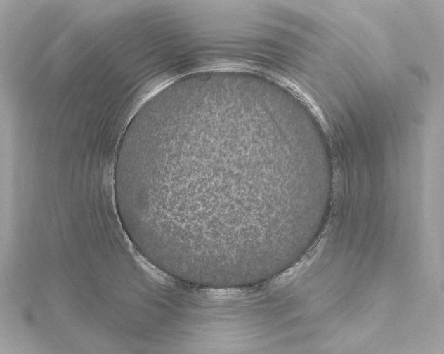 X0000115651425200912011513