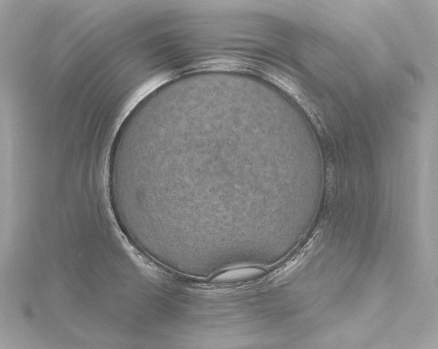 X0000115651426200912011513