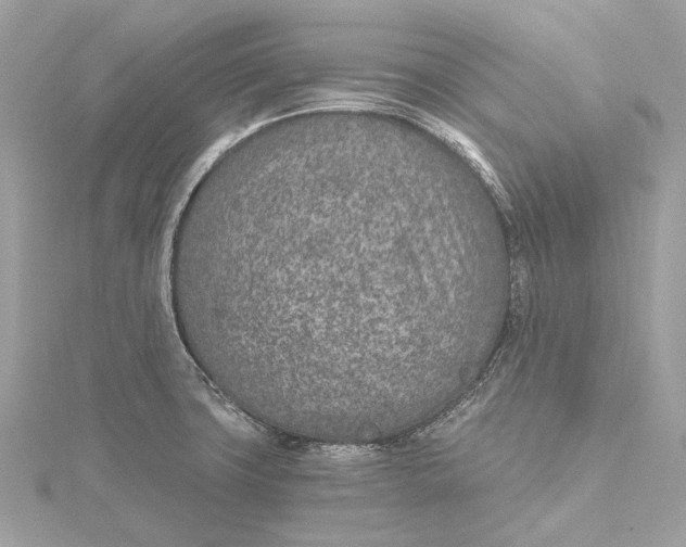 X0000115651427200912011513