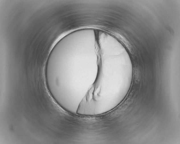 X0000115651428200912011513