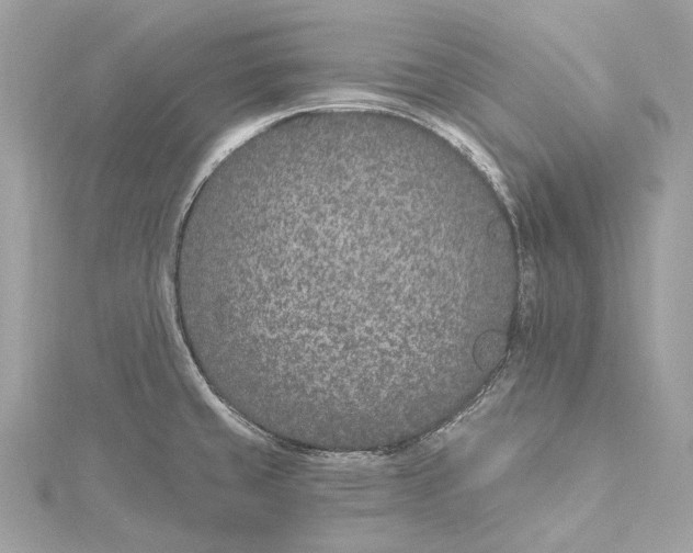 X0000115651429200912011513