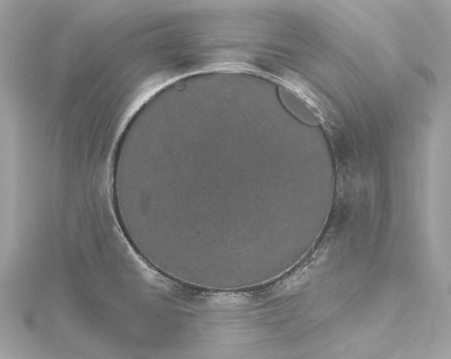 X0000115651430200912011513