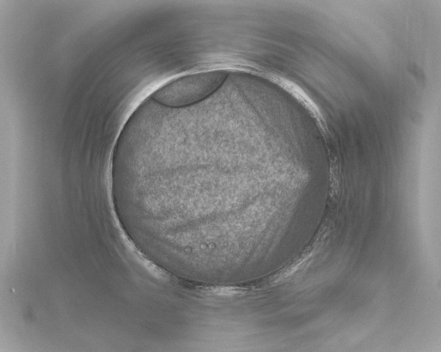 X0000115651431200912011513