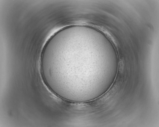 X0000115651432200912011513