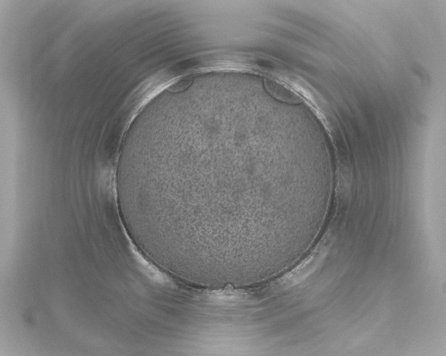 X0000115651433200912011513