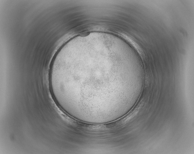 X0000115651434200912011513