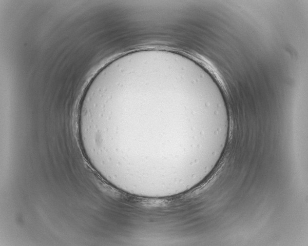 X0000115651435200912011513