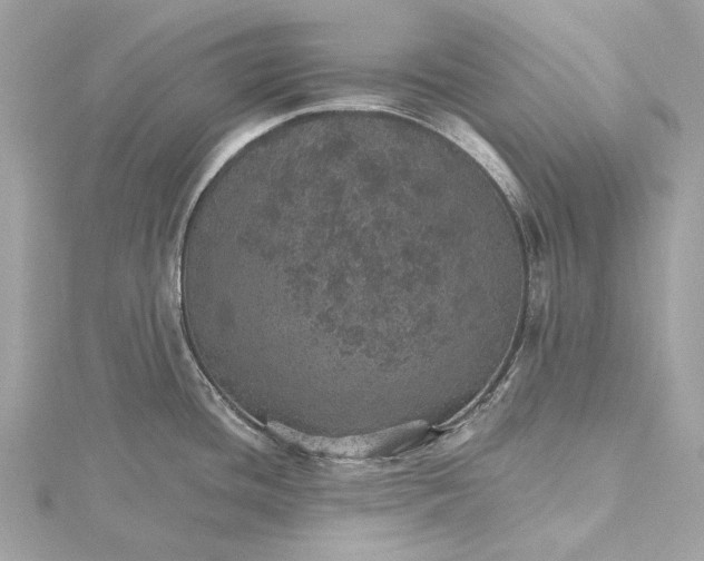 X0000115651436200912011513