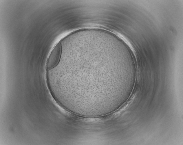 X0000115651437200912011513