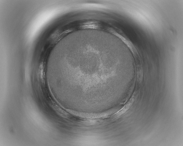 X0000115651438200912011513