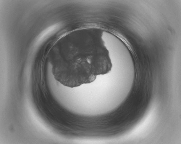 X0000115651439200912011513