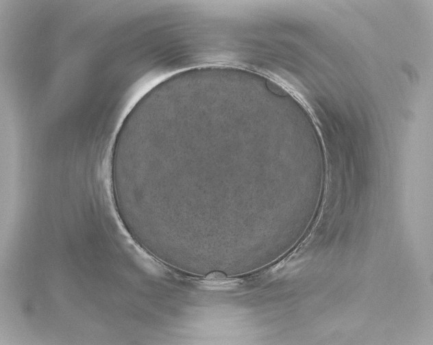 X0000115651440200912011513