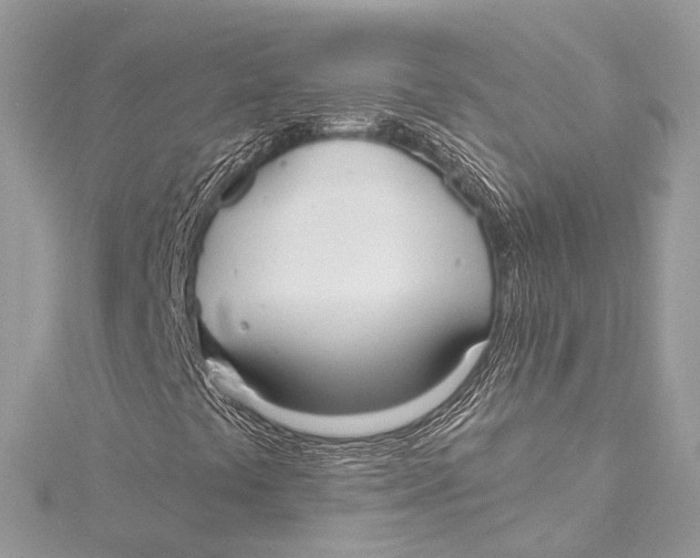 X0000115651441200912011512