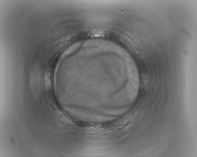 X0000115651442200912011512