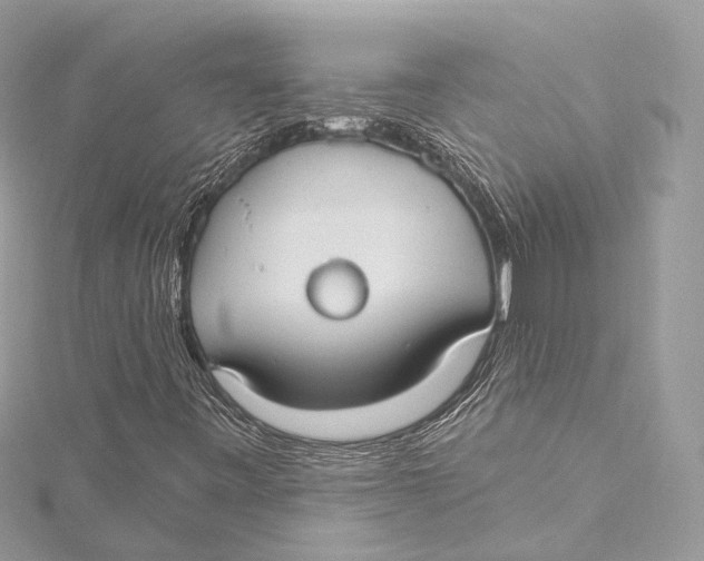 X0000115651443200912011512