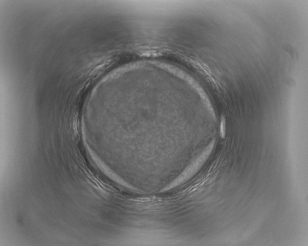 X0000115651444200912011512