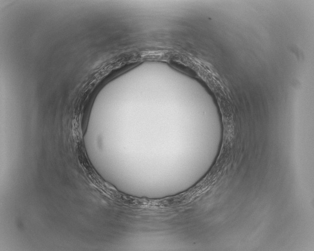 X0000115651445200912011512