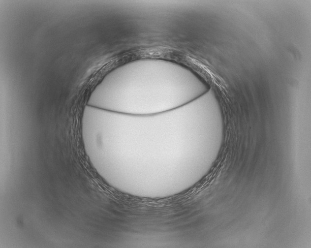 X0000115651447200912011512