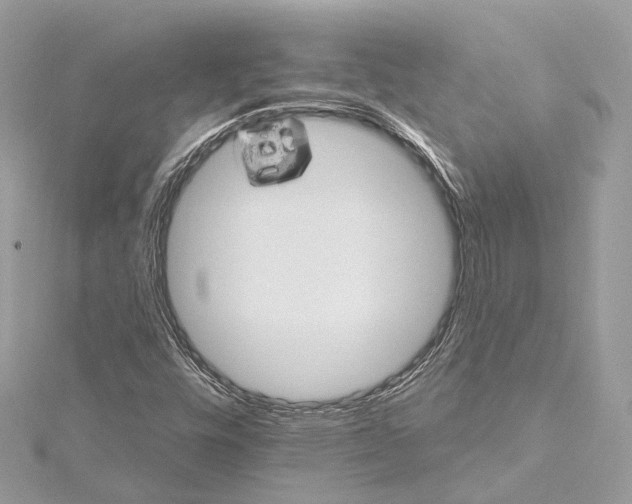 X0000115651448200912011512