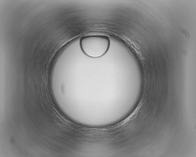 X0000115651449200912011512