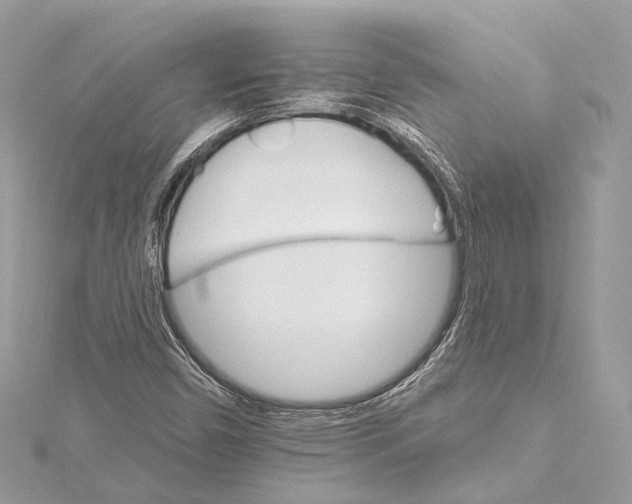 X0000115651450200912011512