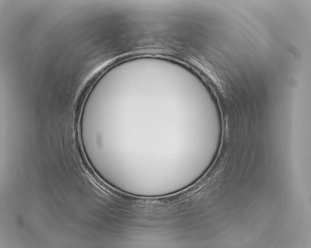 X0000115651452200912011512