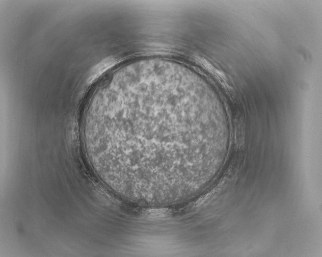 X0000115651453200912011512