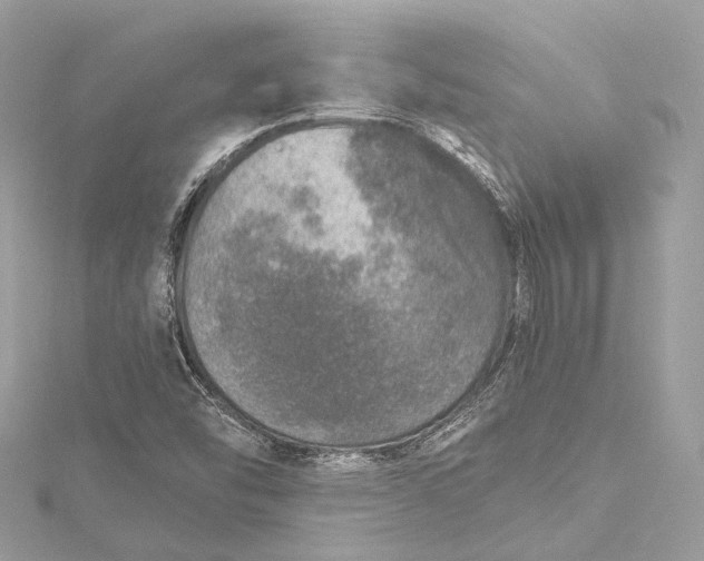 X0000115651454200912011512