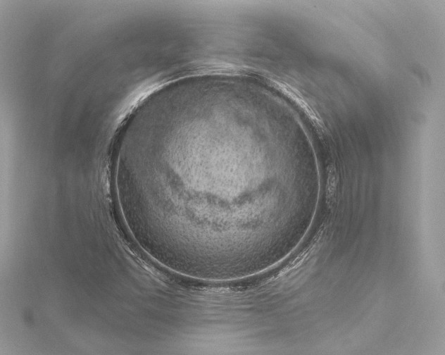 X0000115651455200912011512