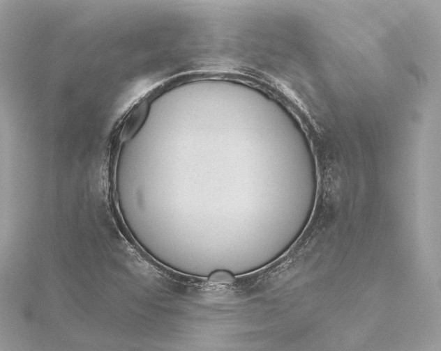 X0000115651456200912011512